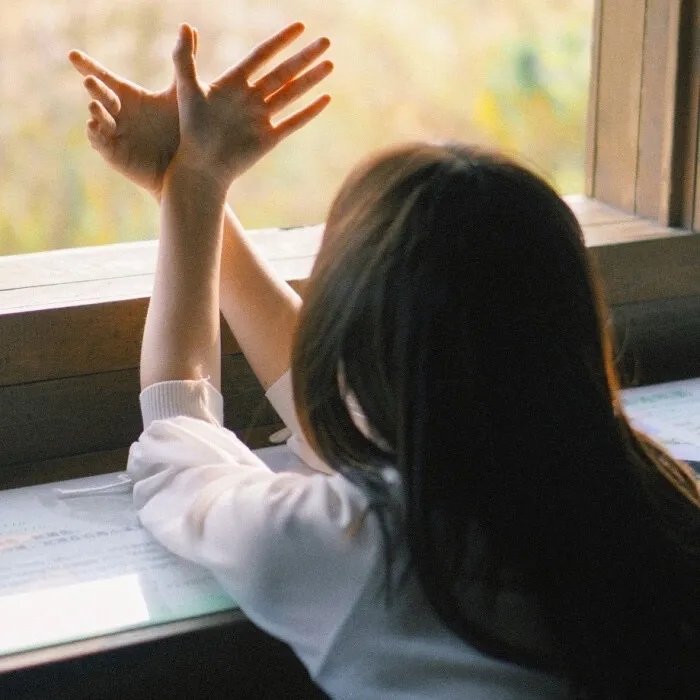 我的老婆是只猫